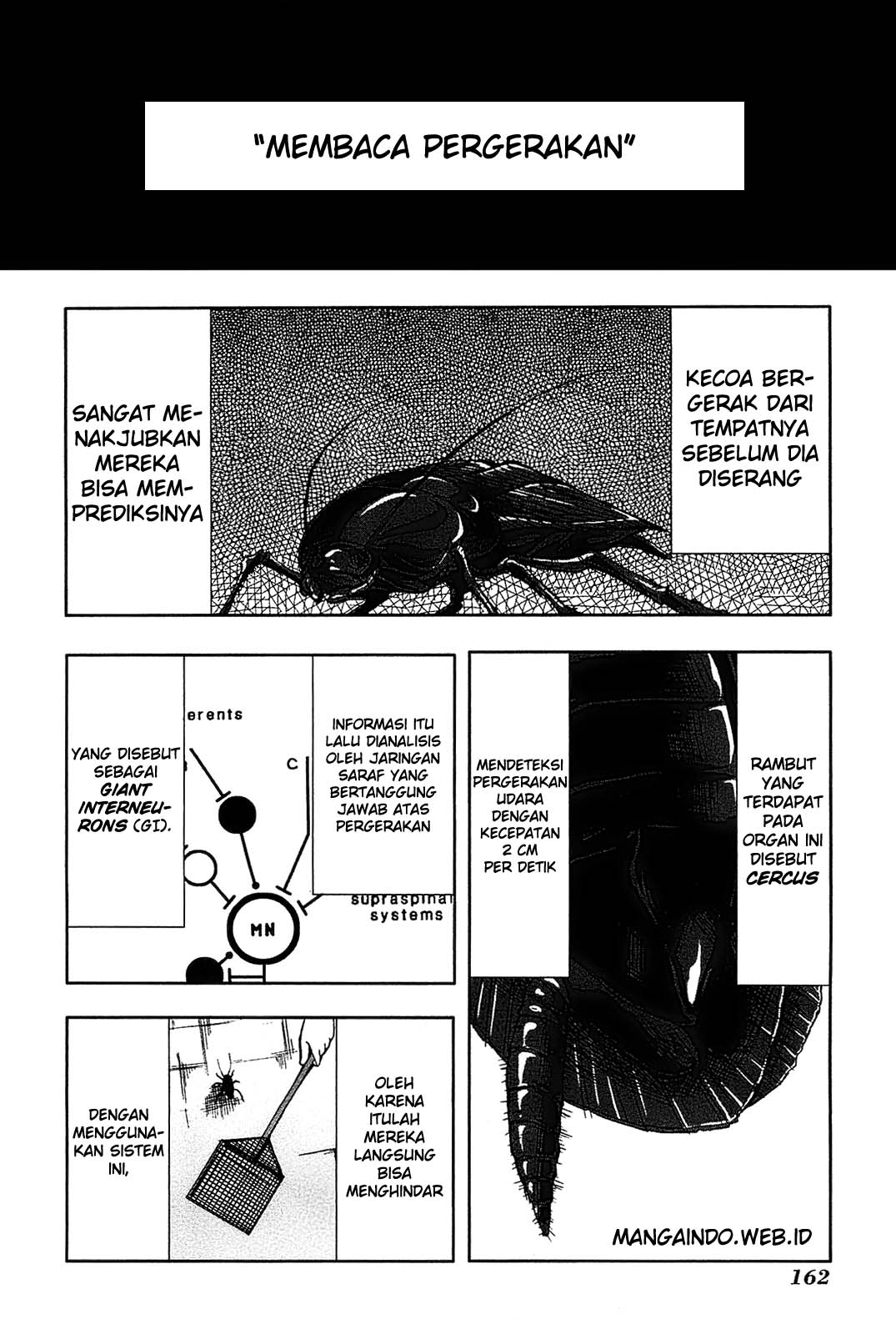 Arachnid Chapter 09 Gambar 31