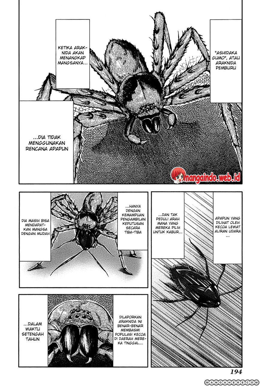 Arachnid Chapter 10 Gambar 23