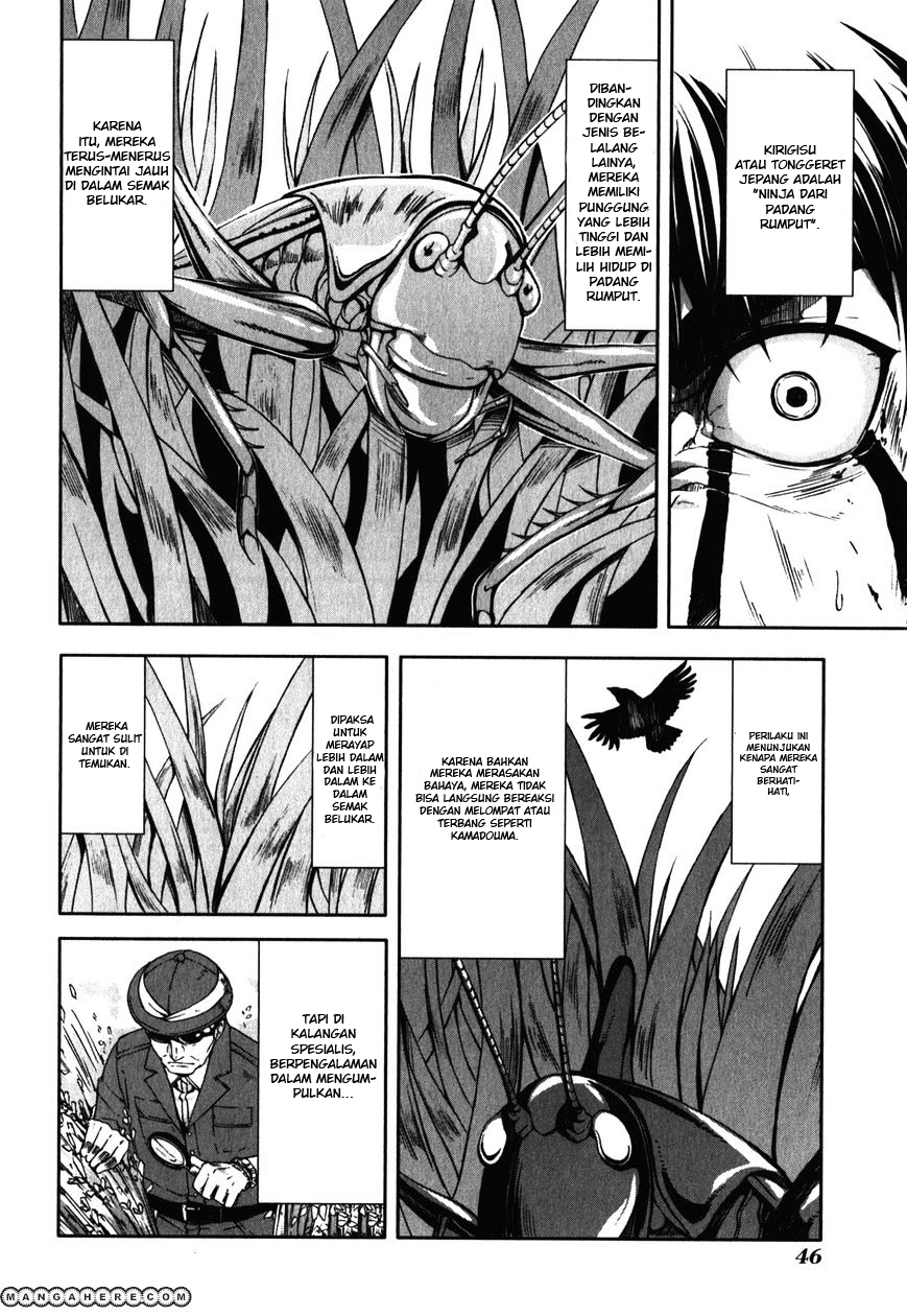 Arachnid Chapter 27 Gambar 17