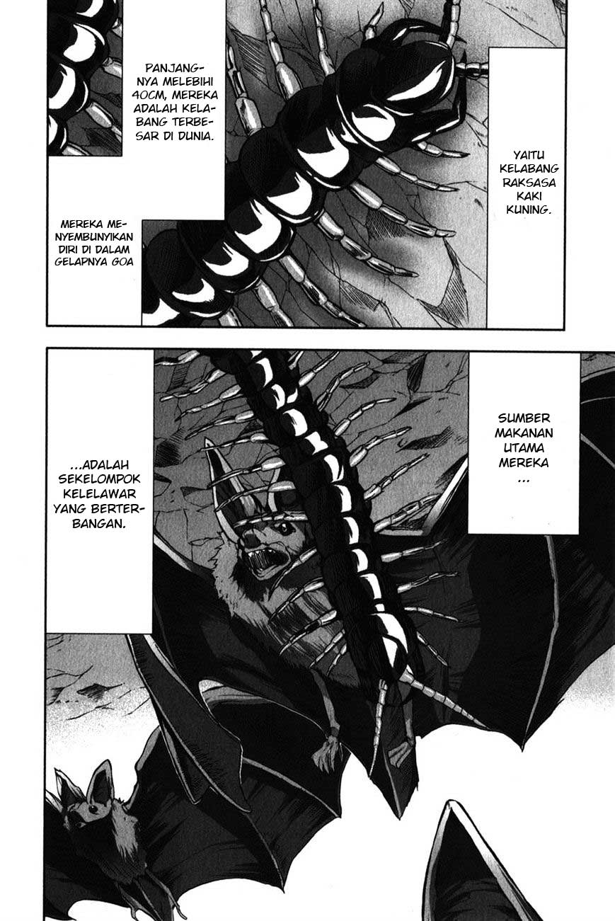 Arachnid Chapter 29 Gambar 9