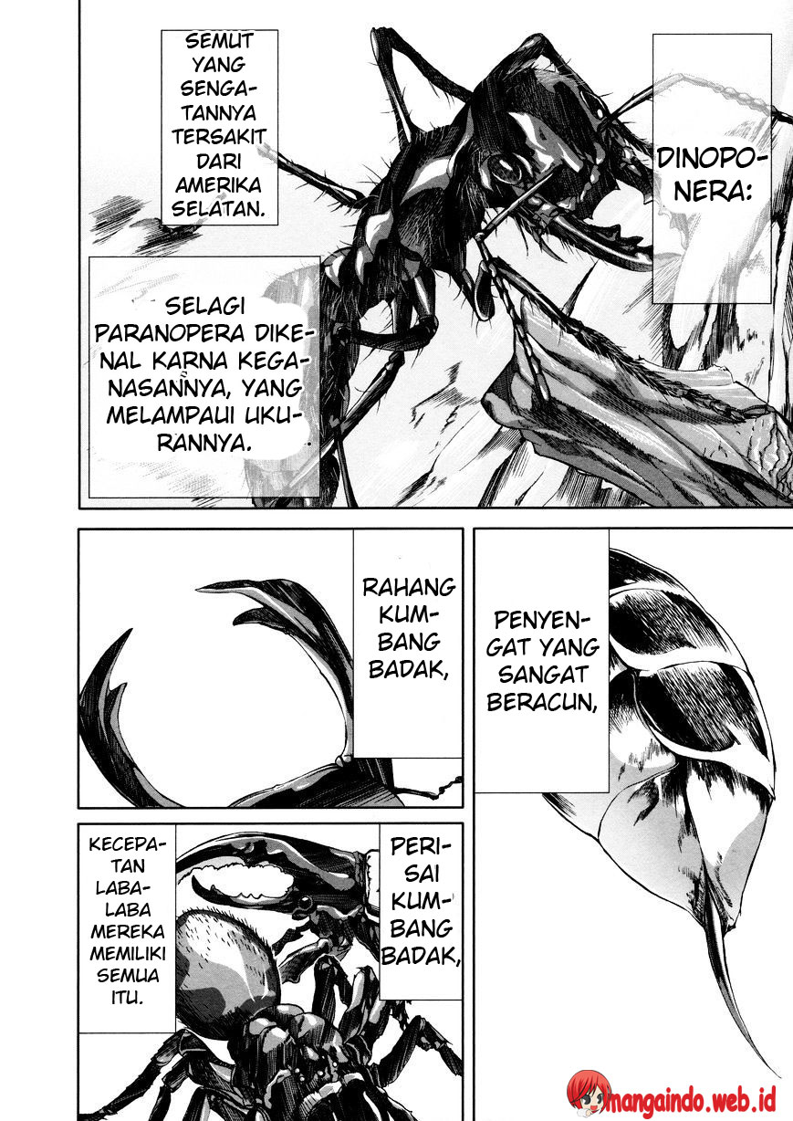 Arachnid Chapter 36 Gambar 21