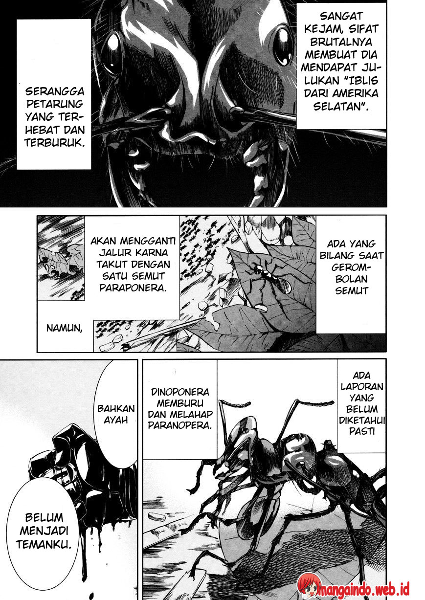 Arachnid Chapter 36 Gambar 22