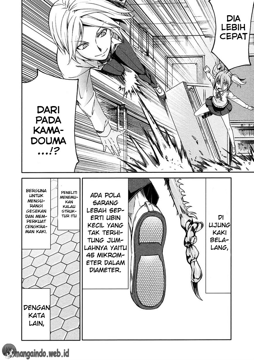 Arachnid Chapter 38 Gambar 17