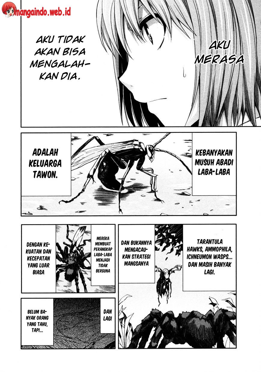 Arachnid Chapter 46 Gambar 13