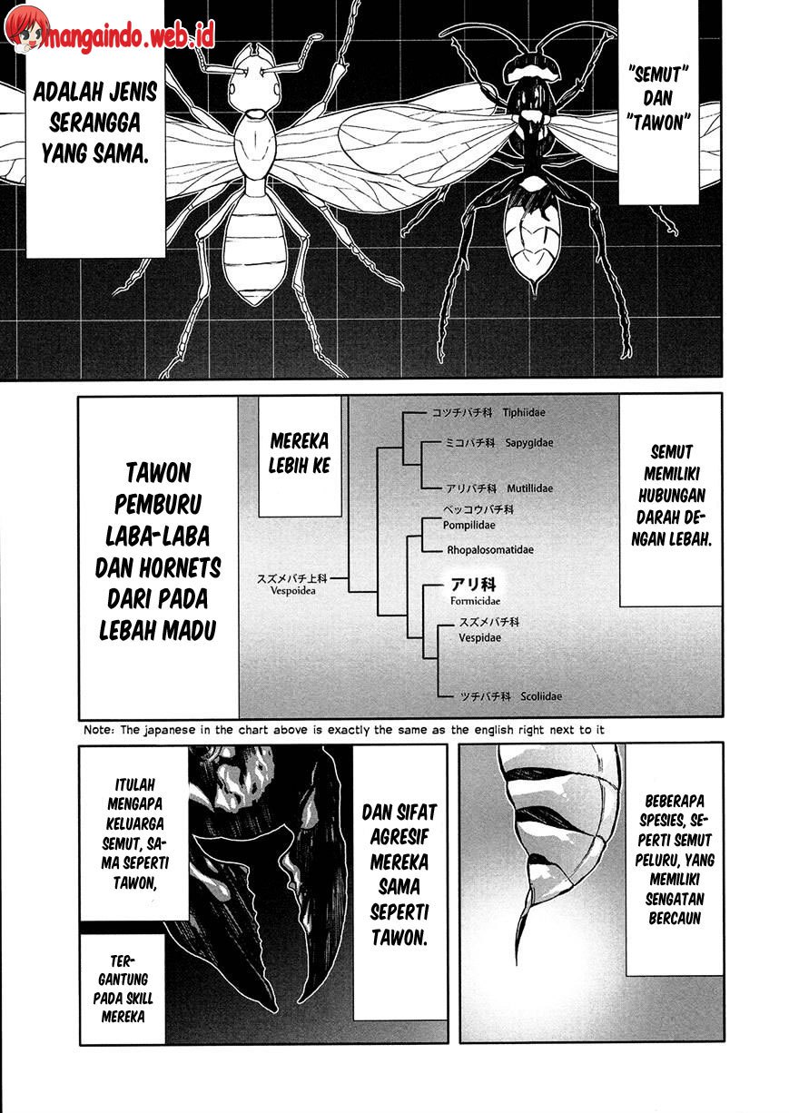 Arachnid Chapter 46 Gambar 14