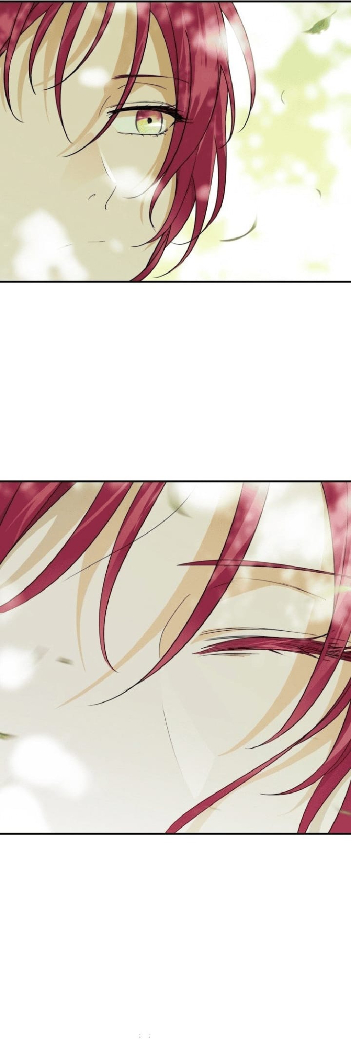 Blinded by the Setting Sun Chapter 112 Gambar 5