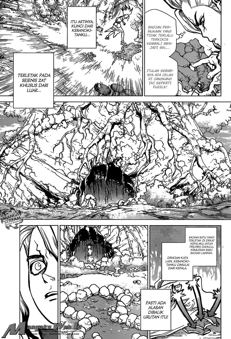 Dr. Stone Chapter 14 Gambar 9