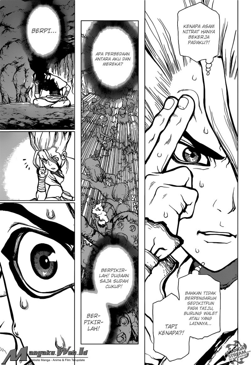 Dr. Stone Chapter 14 Gambar 13