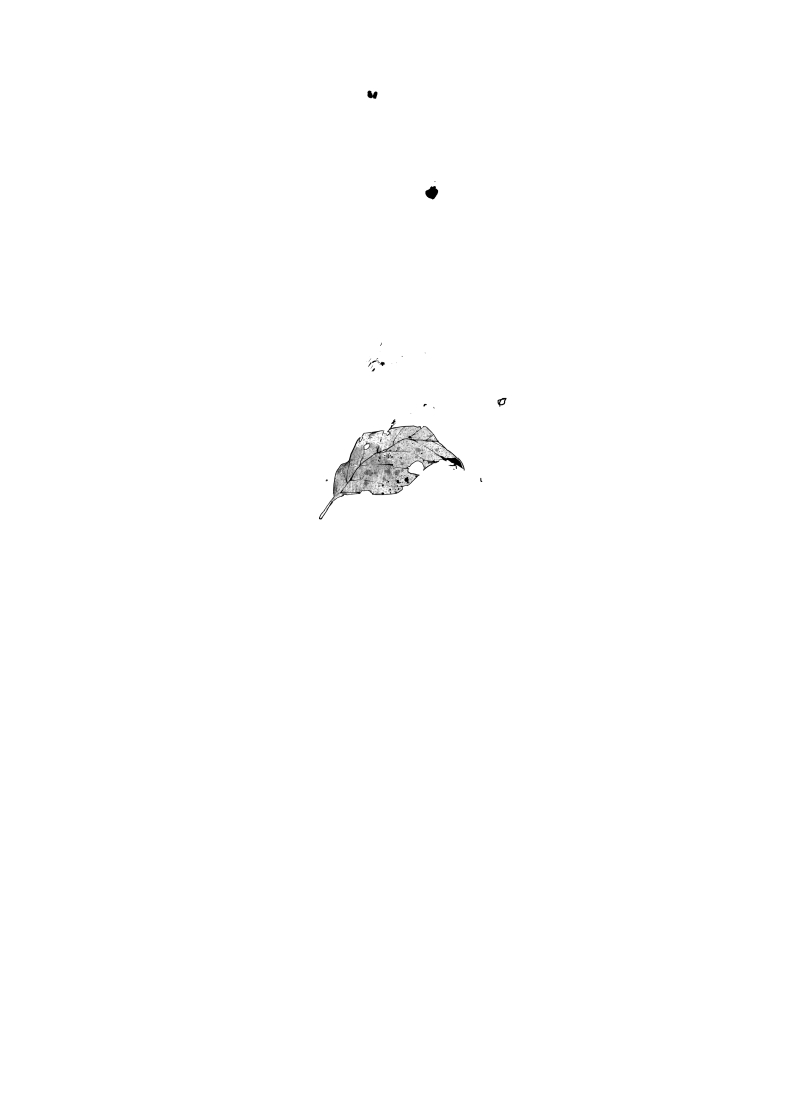 Every Minute Ends Chapter 04.2 Gambar 25