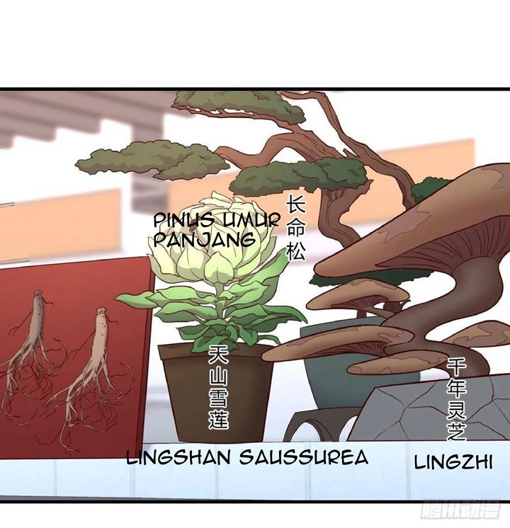 Full-level Peach Blossom Acupuncturist Chapter 40 Gambar 17
