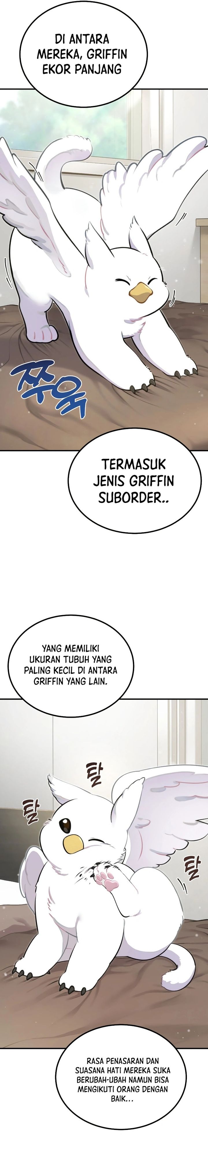 Hello, Fluffy Griffin! Chapter 01 Gambar 12