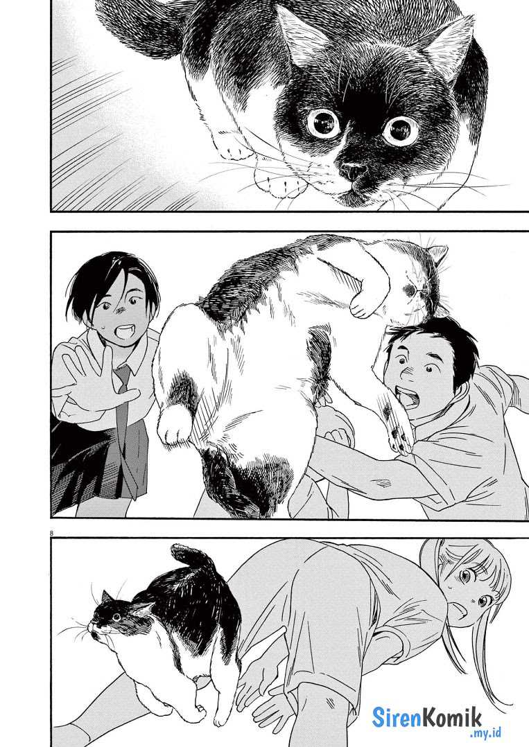 Insomniacs After School (Kimi wa Houkago Insomnia) Chapter 62 Gambar 9