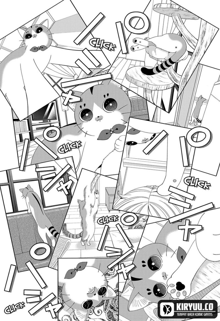 Miyaou Tarou ga Neko wo Kau Nante Chapter 19 Gambar 7