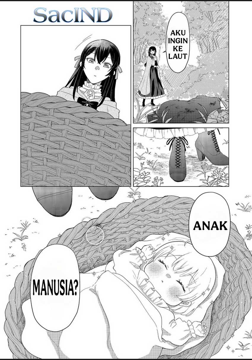 Mori de Seijo o Hirotta Saikyou no Kyuuketsu-hime ~Musume no Tamenara Kuni de Moassari Horoboshimasu!~ @COMIC Chapter 01 Gambar 8
