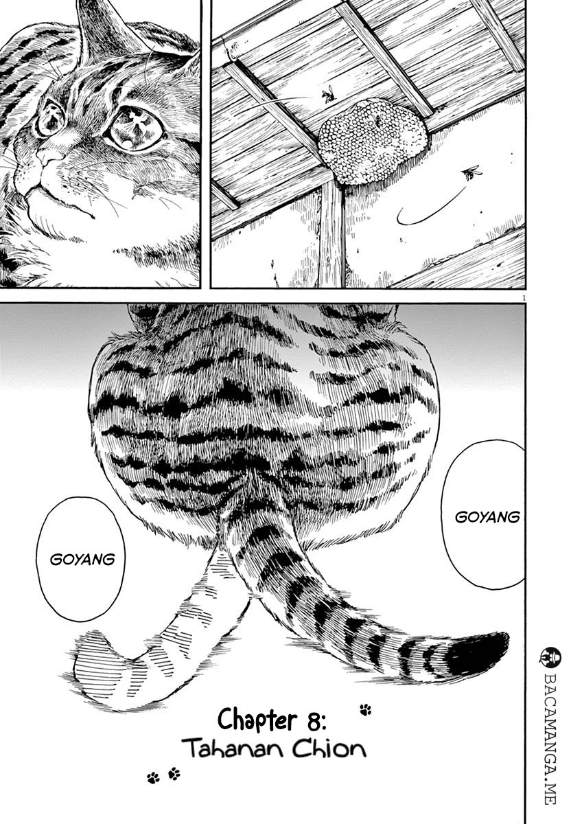 Neko no Otera no Chion-san Chapter 08 Gambar 1