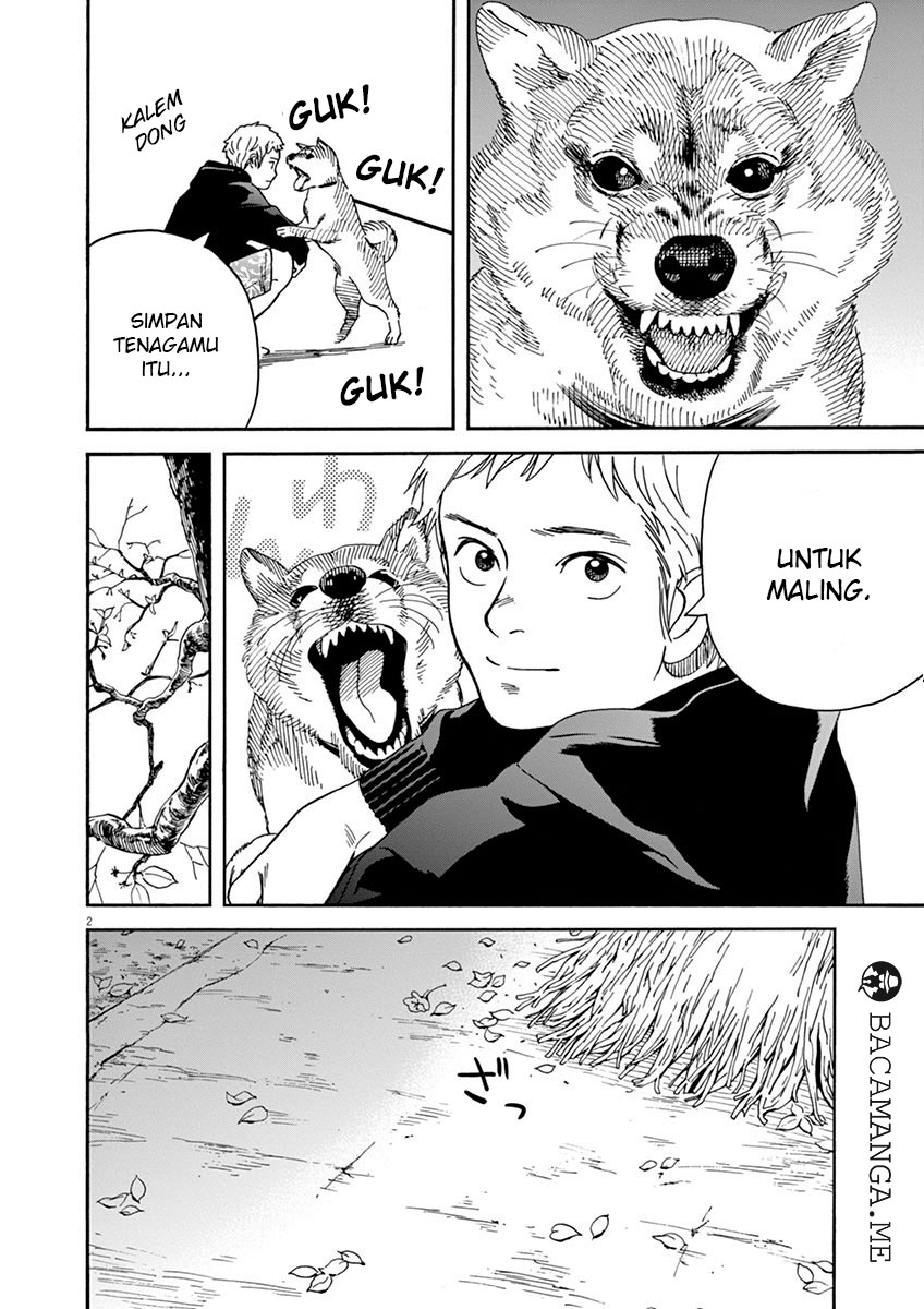 Neko no Otera no Chion-san Chapter 13 Gambar 2