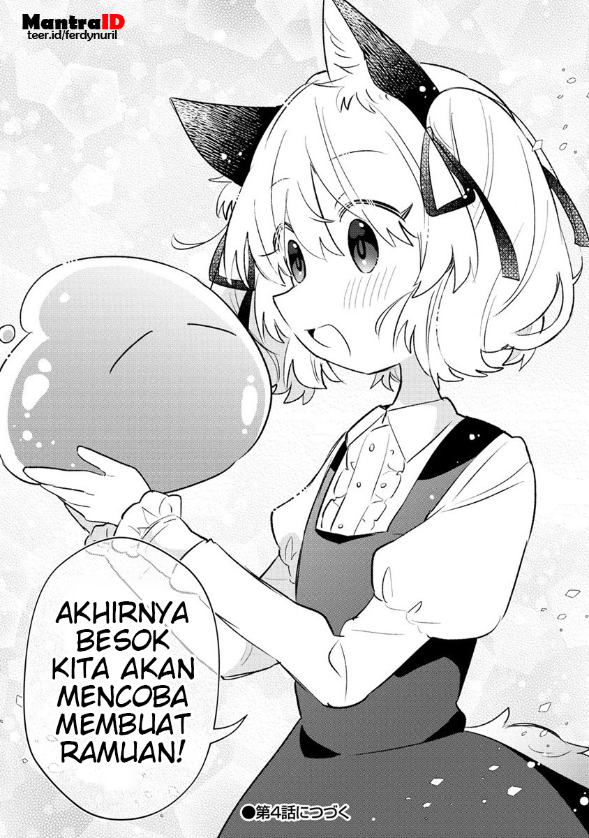 Nekomimi Shoujo wa Mori de Slow Life wo Okuritai: Mofumofu wa Shomou Shimashita ga, Seijo to ka Ouji-sama to ka wa Chuumongai desu Chapter 03.2 Gambar 12