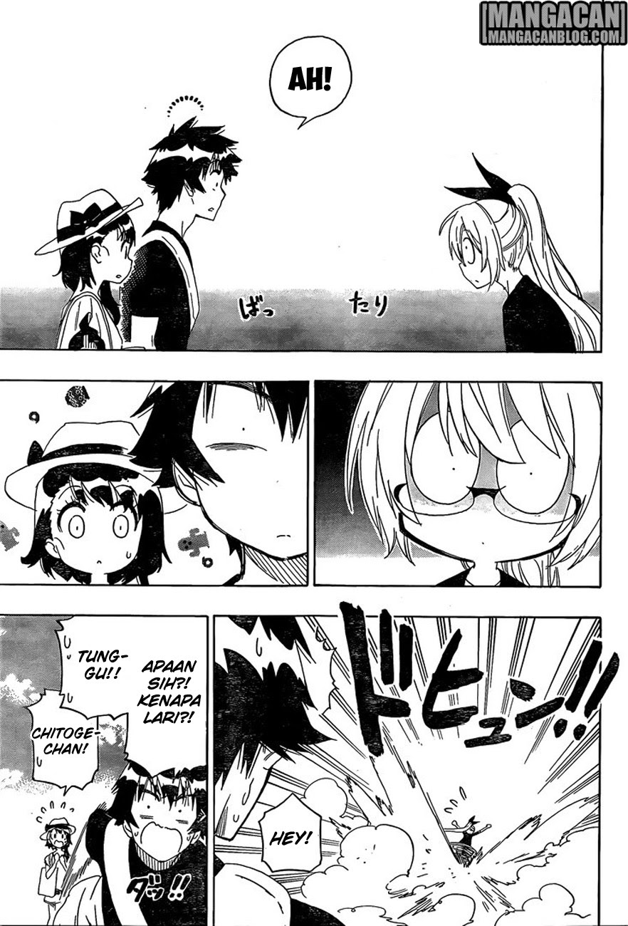 Nisekoi Chapter 215 Gambar 12