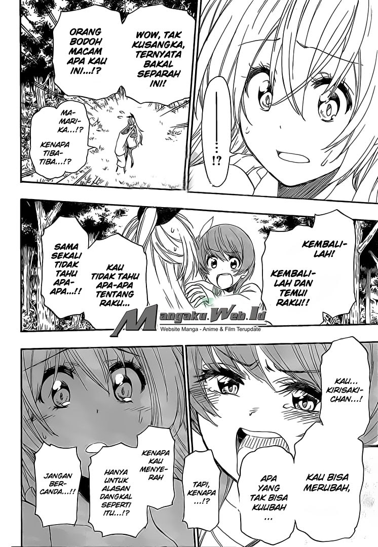 Nisekoi Chapter 224 Gambar 11