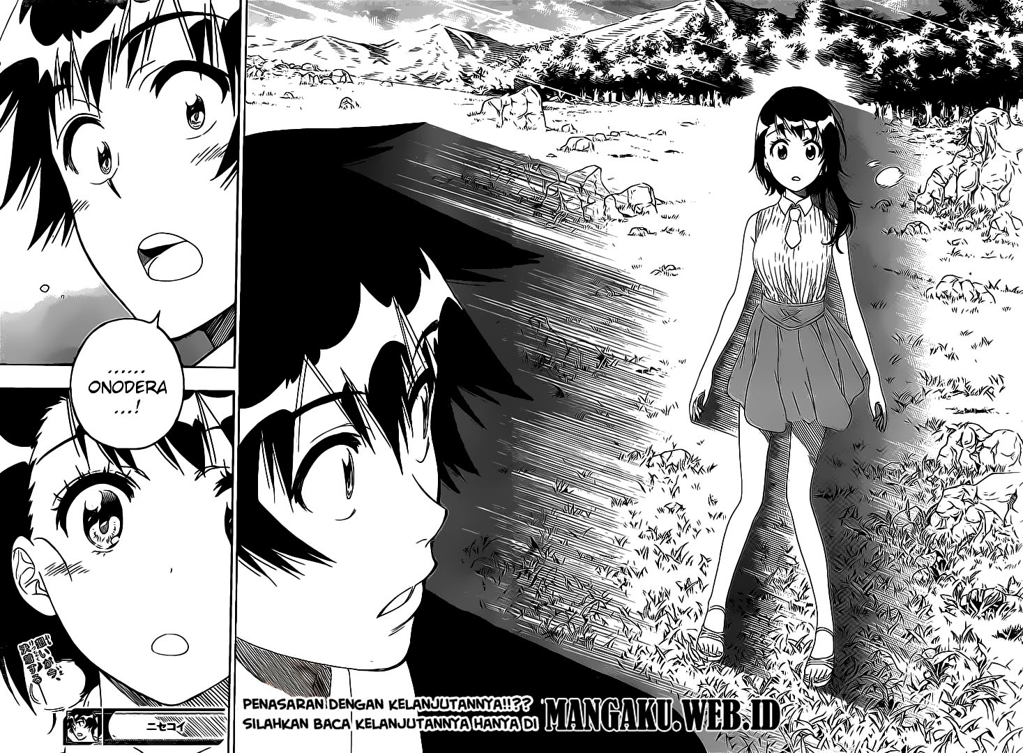 Nisekoi Chapter 224 Gambar 19