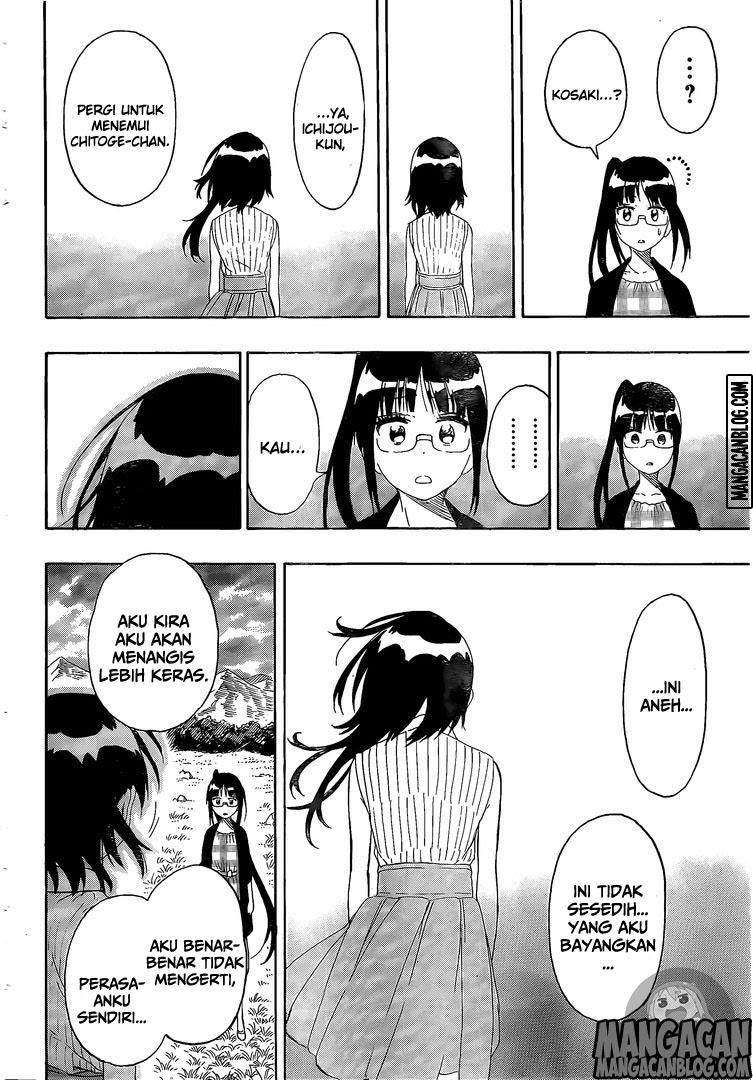 Nisekoi Chapter 226 Gambar 7