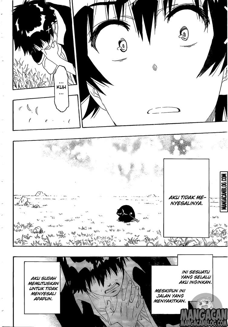 Nisekoi Chapter 226 Gambar 17