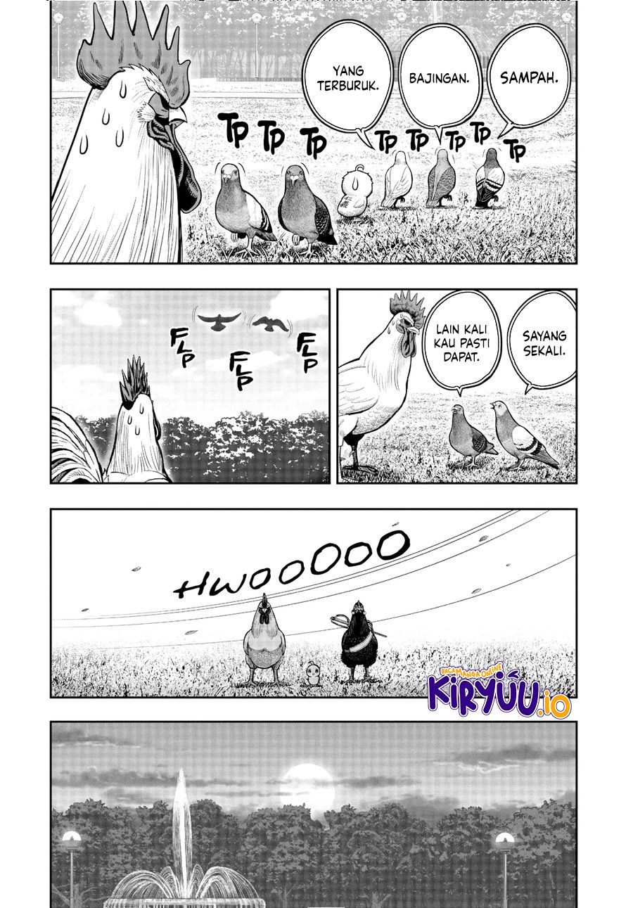 Rooster Fighter Chapter 17 Gambar 34
