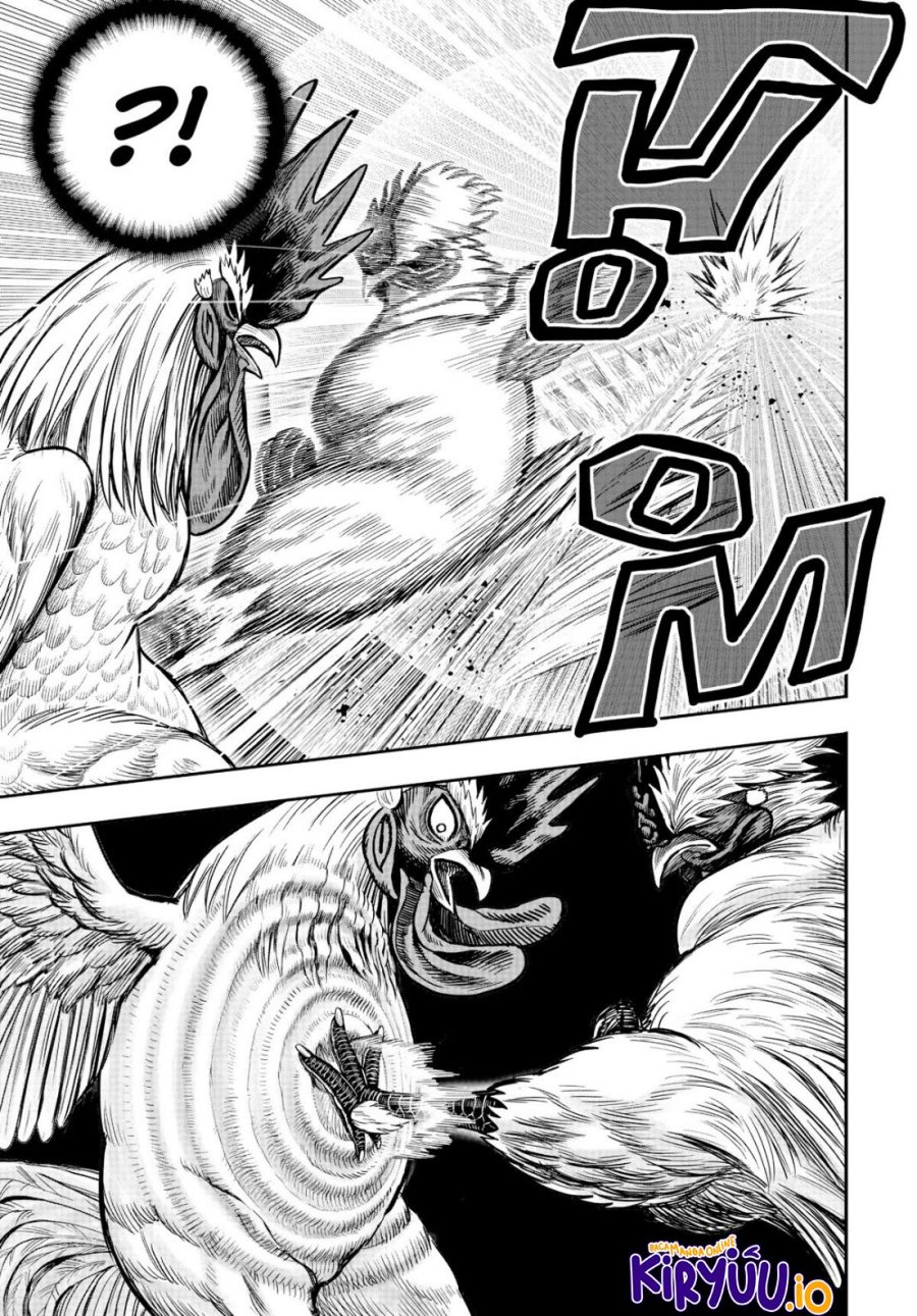 Rooster Fighter Chapter 19 Gambar 38