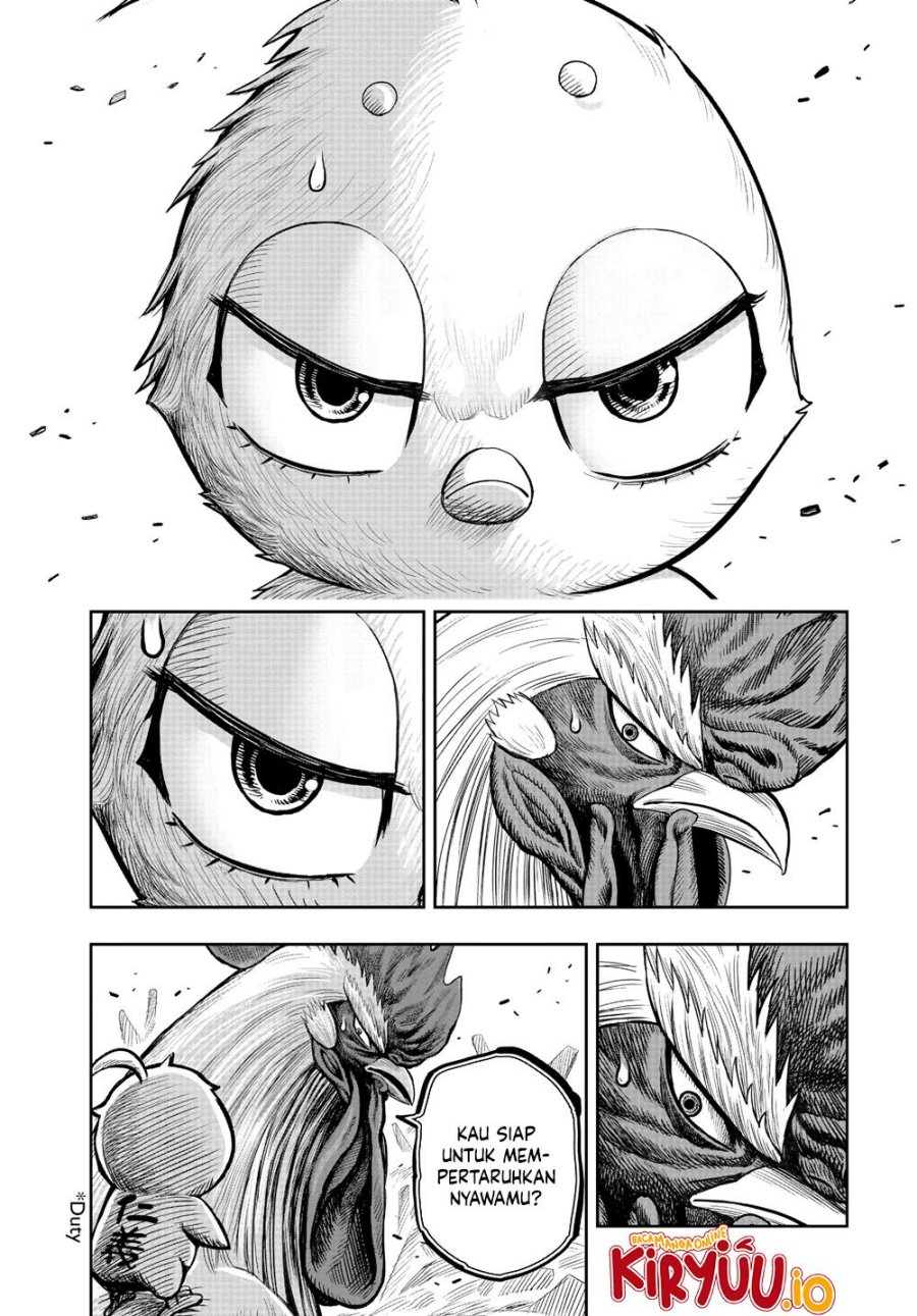 Rooster Fighter Chapter 23 Gambar 10