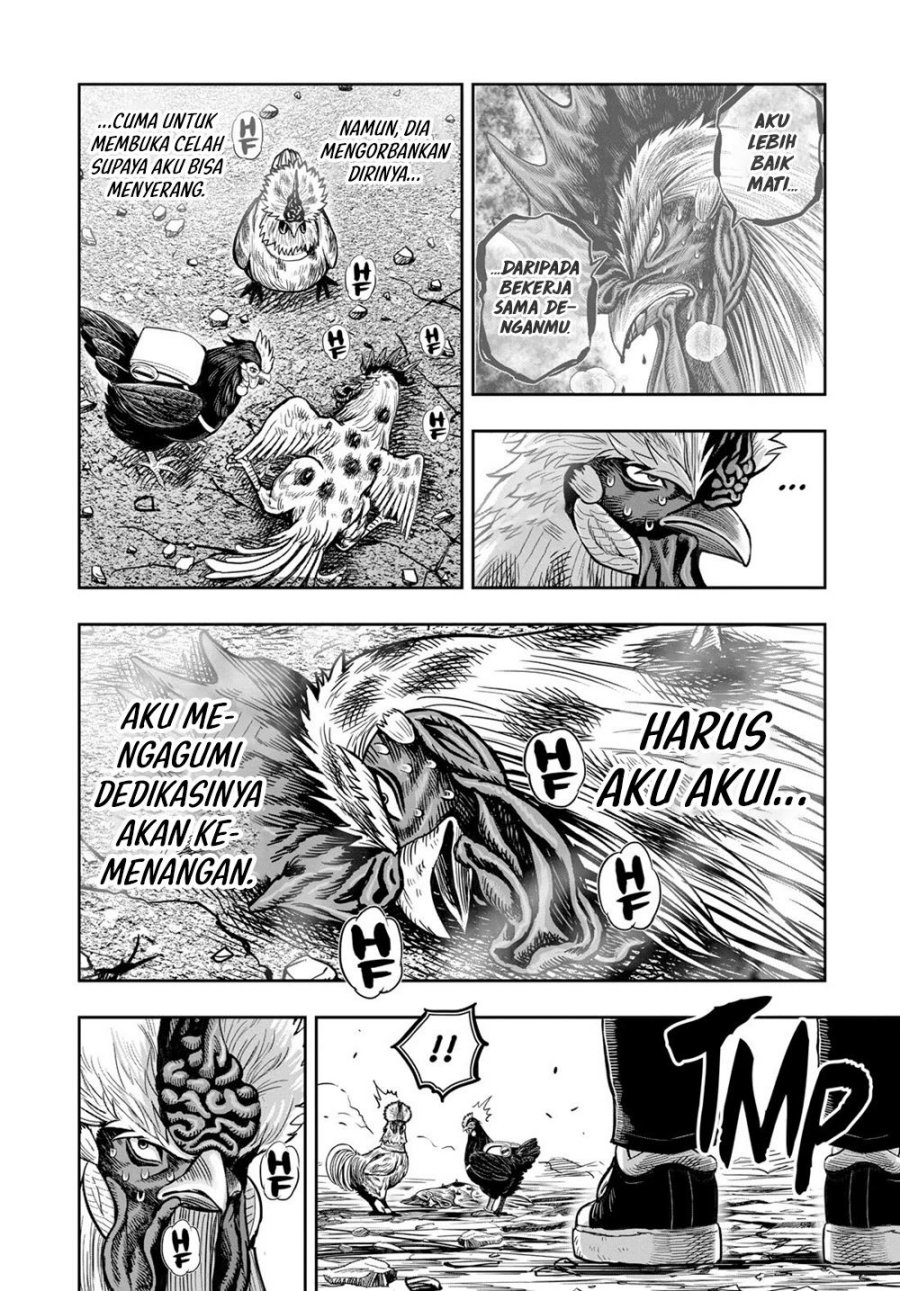 Rooster Fighter Chapter 25 Gambar 59