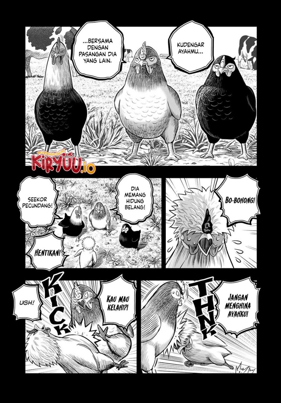 Rooster Fighter Chapter 27 Gambar 4