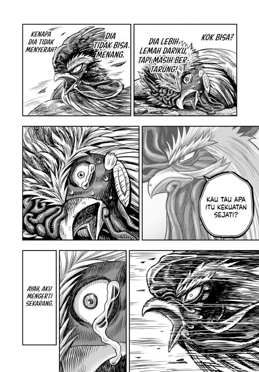 Rooster Fighter Chapter 27 Gambar 43
