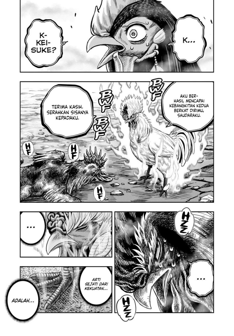 Rooster Fighter Chapter 27 Gambar 52