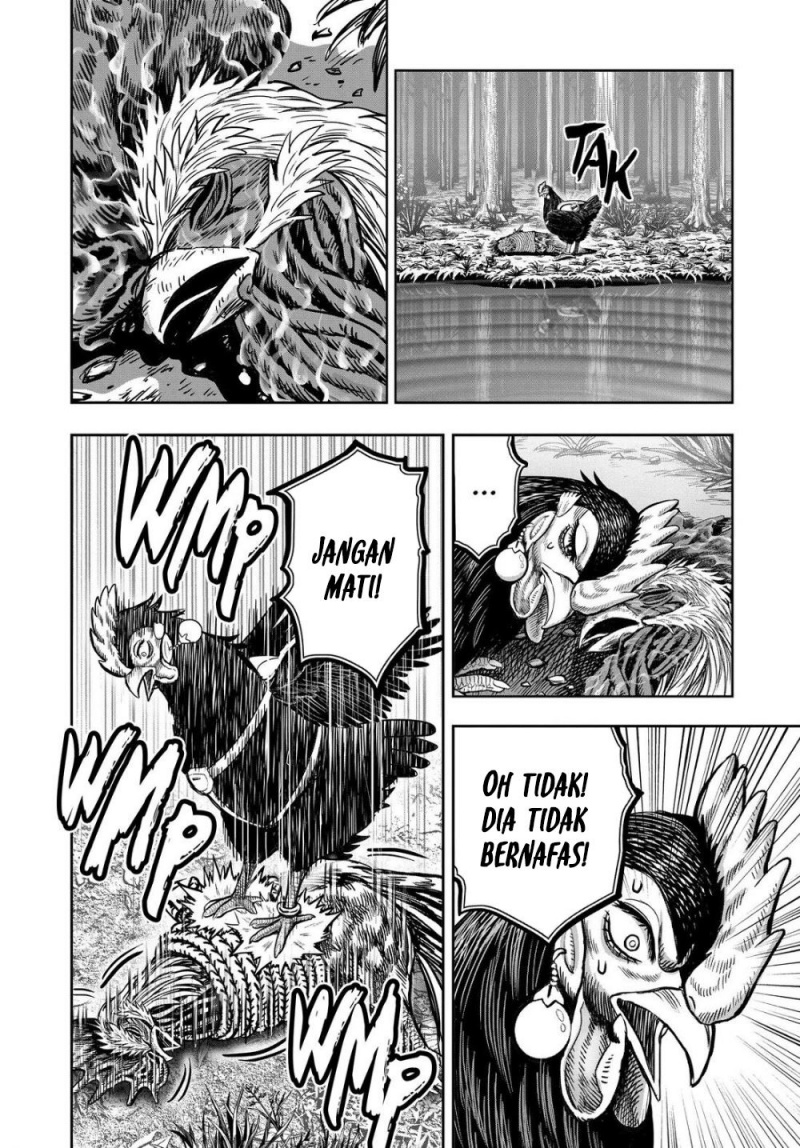 Rooster Fighter Chapter 29 Gambar 37