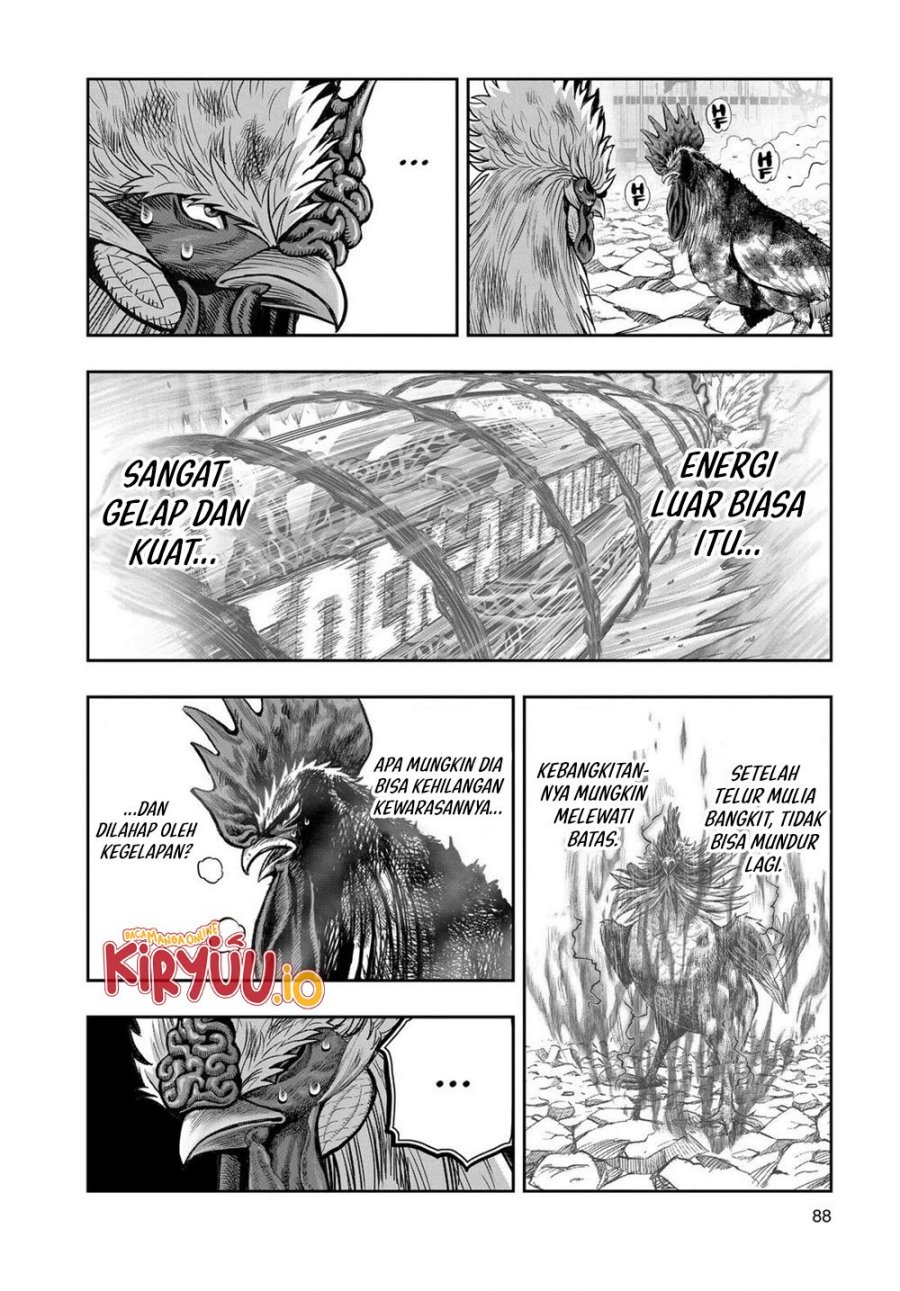 Rooster Fighter Chapter 30 Gambar 3