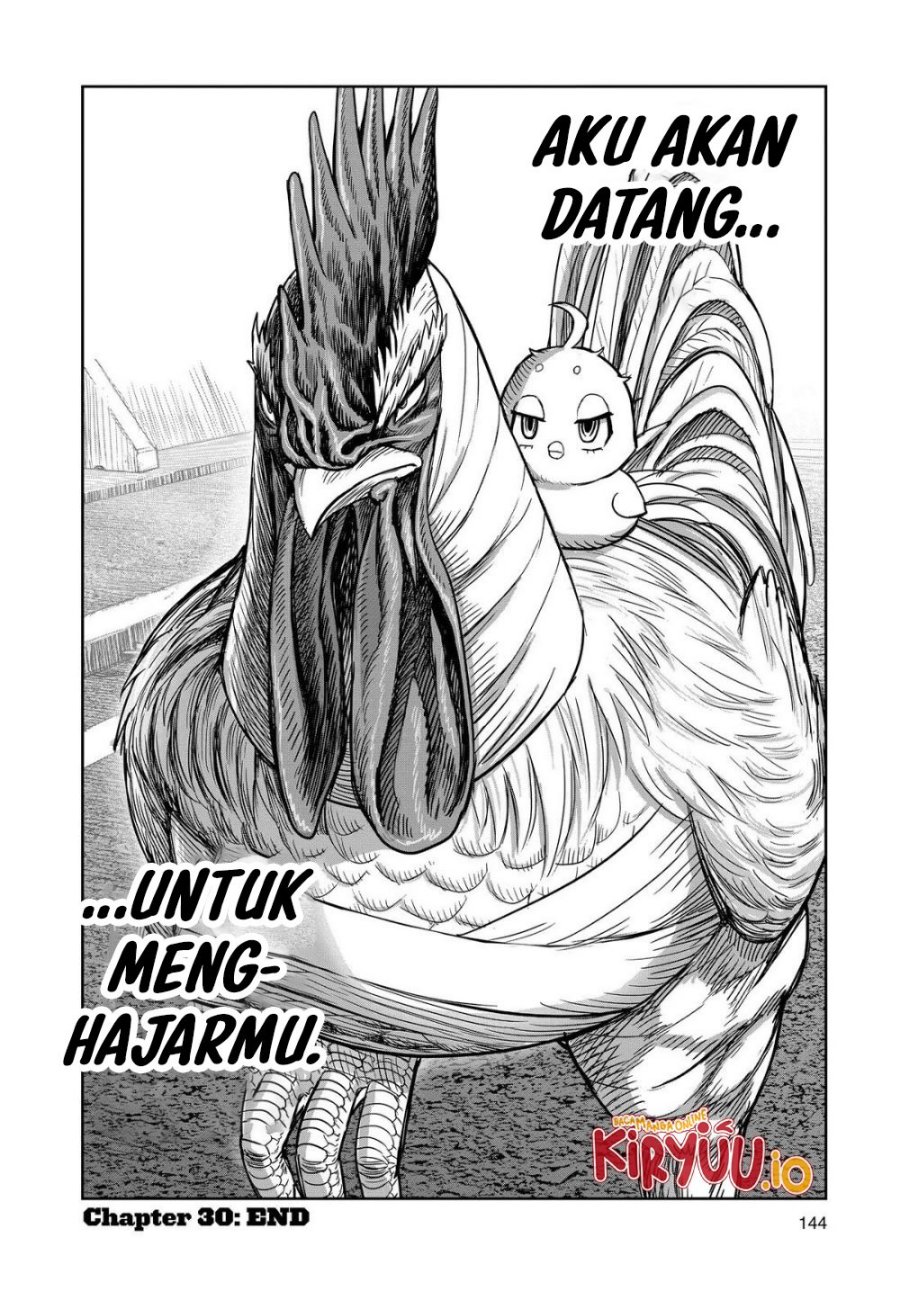 Rooster Fighter Chapter 30 Gambar 59