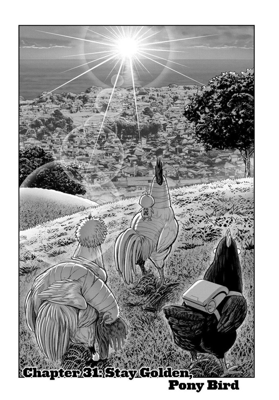 Rooster Fighter Chapter 31 Gambar 2