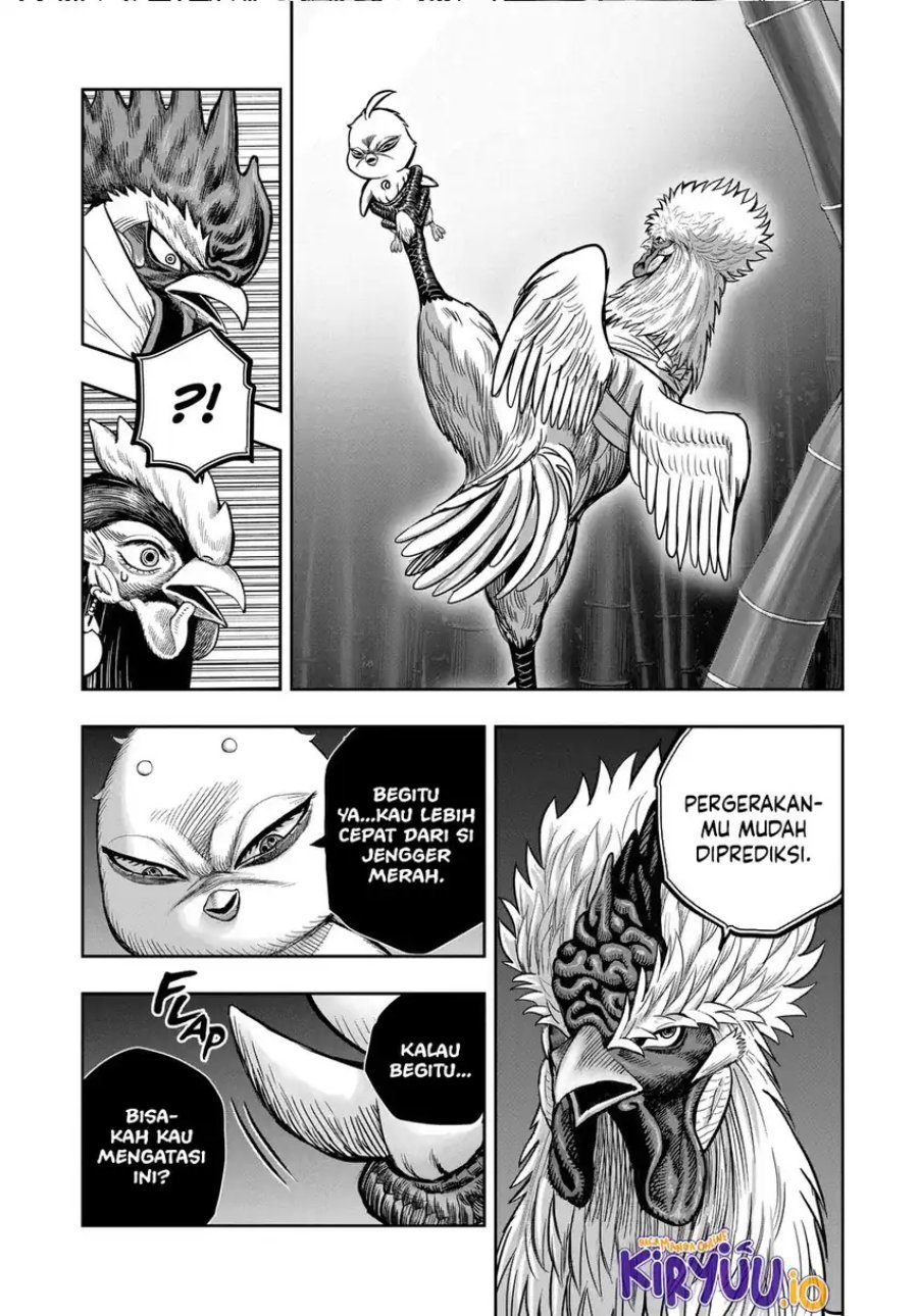 Rooster Fighter Chapter 33 Gambar 19