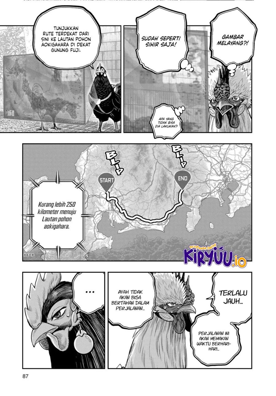 Rooster Fighter Chapter 35 Gambar 6