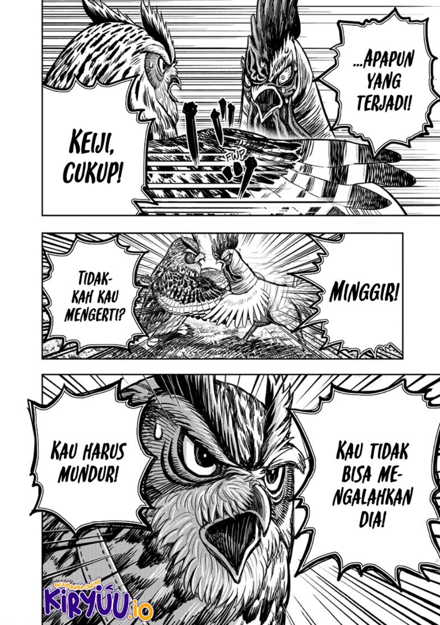 Rooster Fighter Chapter 39 Gambar 43