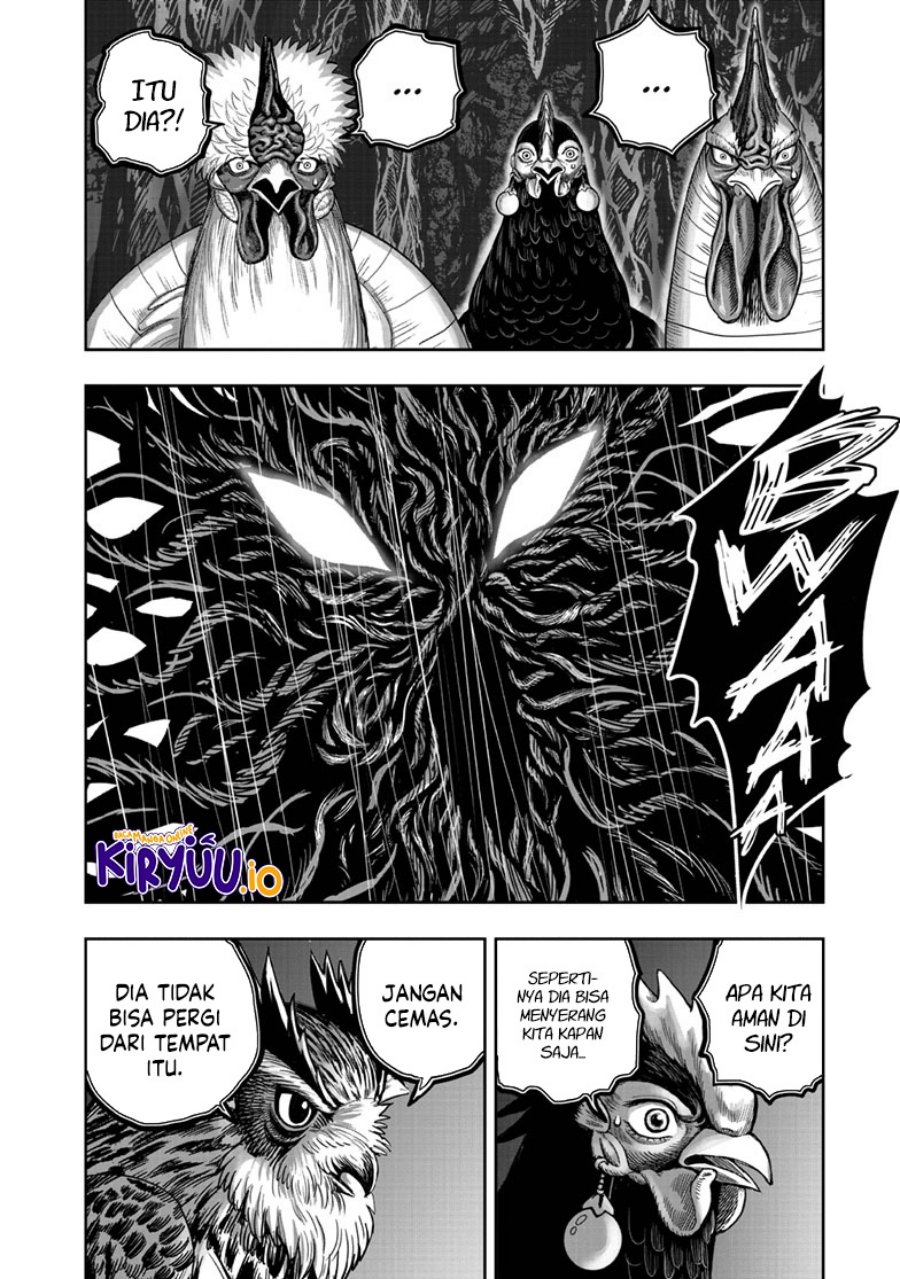 Rooster Fighter Chapter 43 Gambar 15