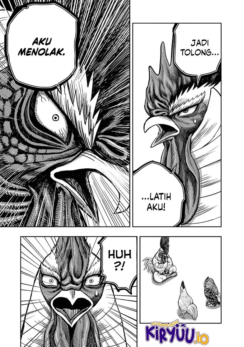 Rooster Fighter Chapter 48 Gambar 8