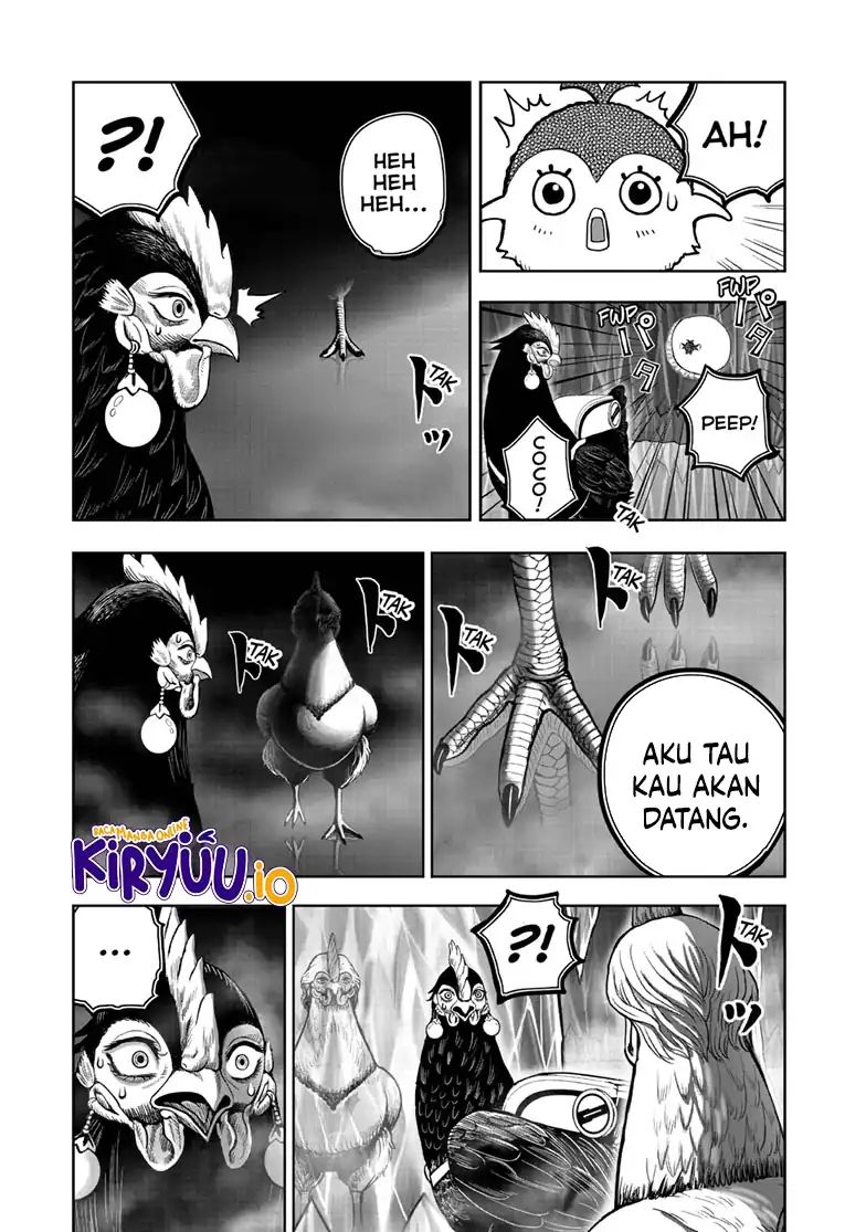 Rooster Fighter Chapter 48 Gambar 18