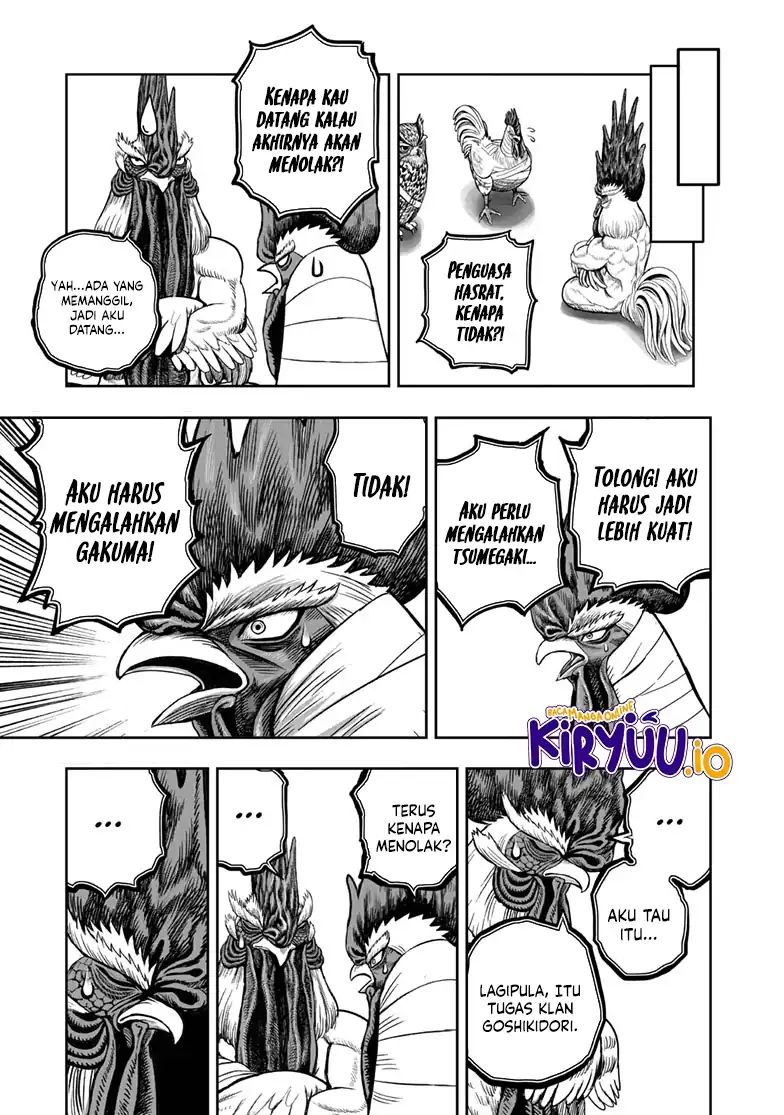 Rooster Fighter Chapter 48 Gambar 20
