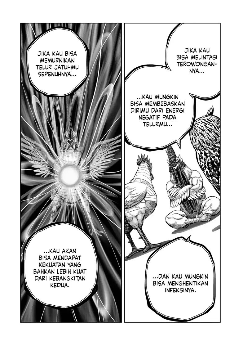 Rooster Fighter Chapter 48 Gambar 24