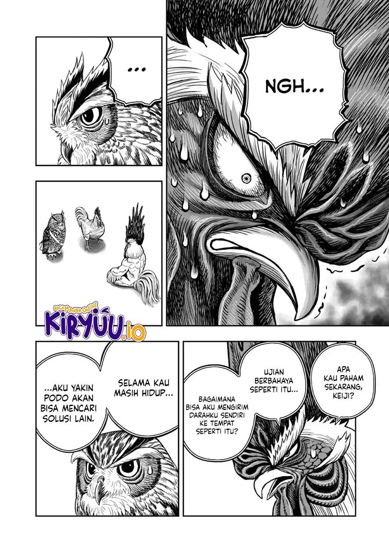 Rooster Fighter Chapter 48 Gambar 31