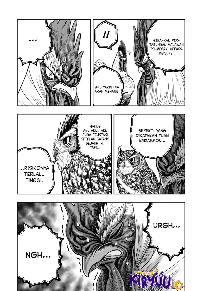Rooster Fighter Chapter 48 Gambar 32