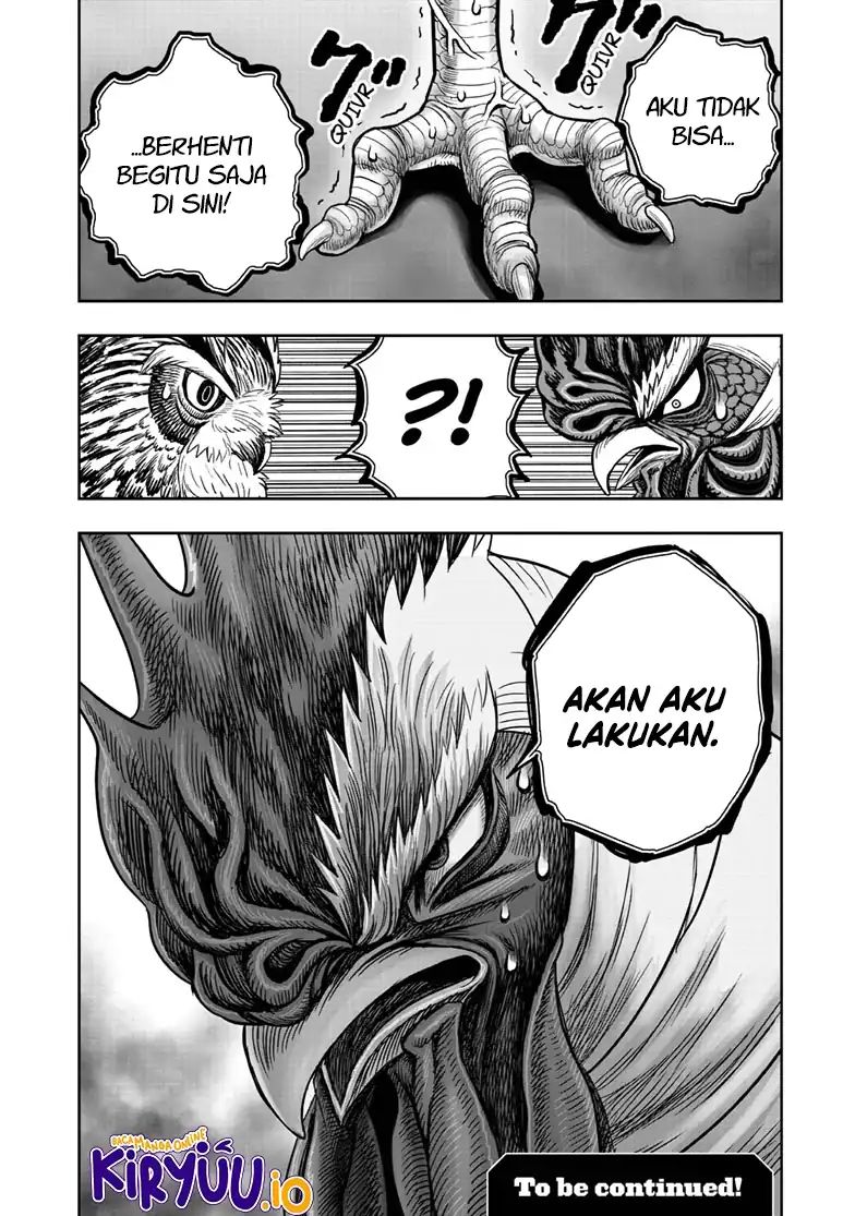 Rooster Fighter Chapter 48 Gambar 33