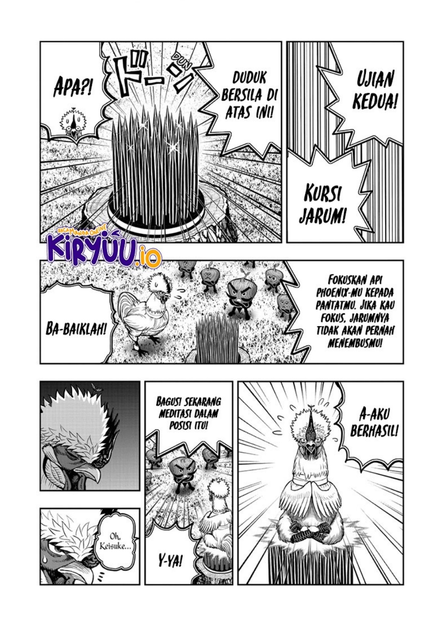 Rooster Fighter Chapter 50 Gambar 19
