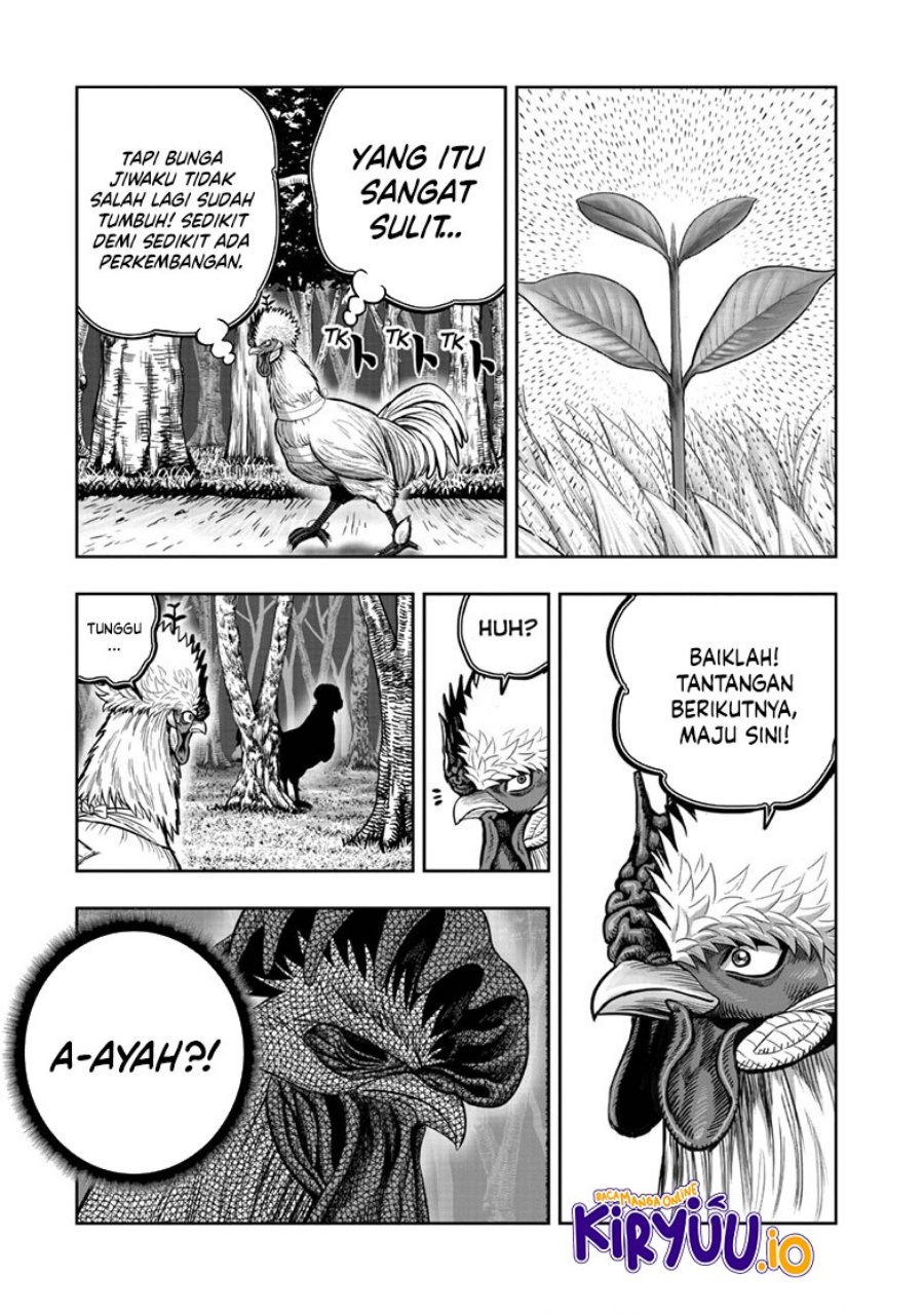 Rooster Fighter Chapter 50 Gambar 22